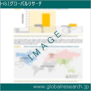 グローバルリサーチ調査レポートのイメージ